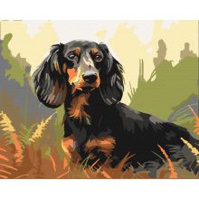 Herr Dackel - Malen-nach-Zahlen-Set auf Keilrahmen 40x50
