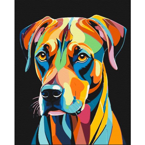 Pop Art Gesellschaft - Malen-nach-Zahlen-Set auf Keilrahmen 40x50