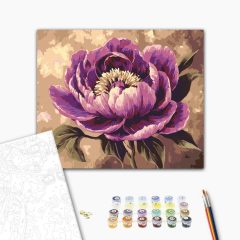   Lila Pfingstrose - Malen-nach-Zahlen-Set auf Keilrahmen 40x50