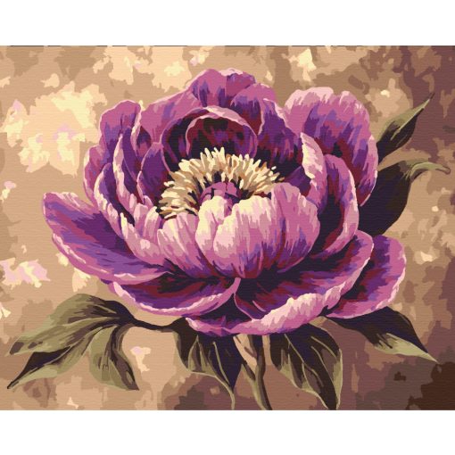 Lila Pfingstrose - Malen-nach-Zahlen-Set auf Keilrahmen 40x50