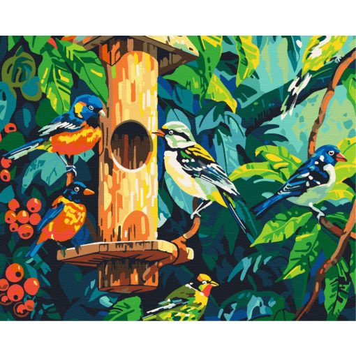 Vögel am Futterplatz - Malen-nach-Zahlen-Set auf Keilrahmen 40x50