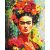   Frida zwischen Blumen - Malen-nach-Zahlen-Set auf Keilrahmen 40x50