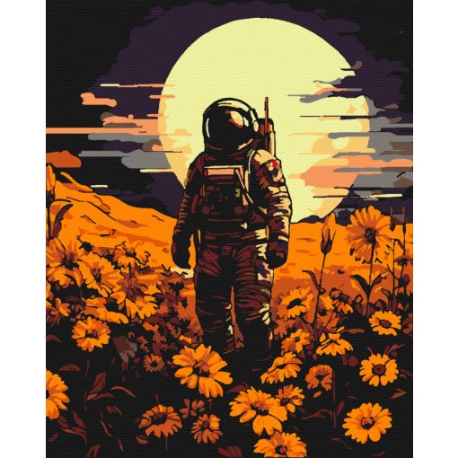 Eltévedt űrhajós - Számfestő készlet kereten 40x50