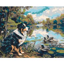 A kacsák őrzője - Számfestő készlet kereten 40x50