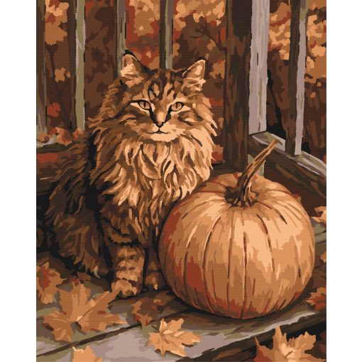 Őszi macska - Számfestő készlet kereten 40x50