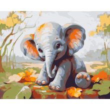 Kiselefánt - Számfestő készlet kereten 40x50