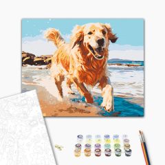 Tengerparti móka - Számfestő készlet kereten 40x50