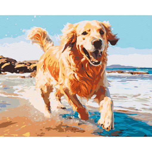 Tengerparti móka - Számfestő készlet kereten 40x50