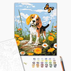 Beagle és pillangó - Számfestő készlet kereten 40x50
