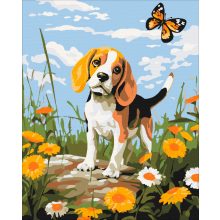 Beagle és pillangó - Számfestő készlet kereten 40x50