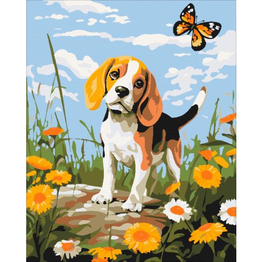 Beagle és pillangó - Számfestő készlet kereten 40x50
