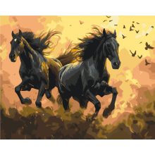 Rasender Sturm - Malen-nach-Zahlen-Set auf Keilrahmen 40x50