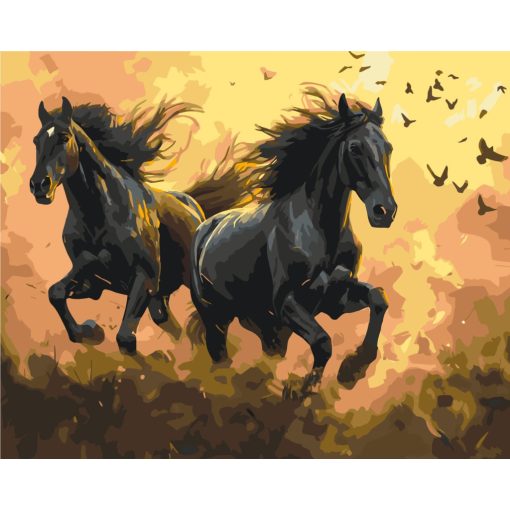 Rasender Sturm - Malen-nach-Zahlen-Set auf Keilrahmen 40x50