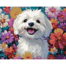 A boldogság mosolya - Számfestő készlet kereten 40x50