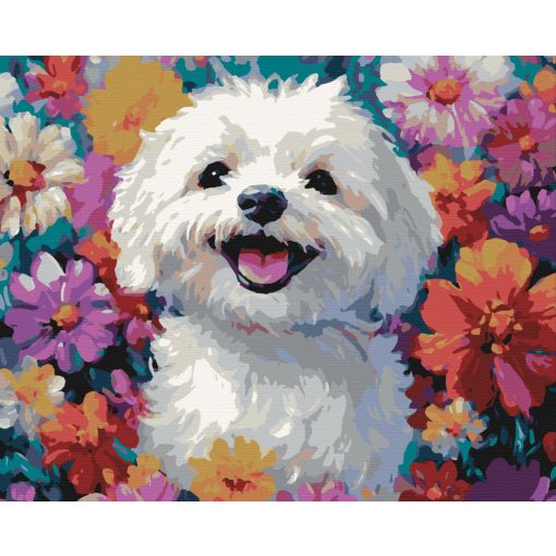 A boldogság mosolya - Számfestő készlet kereten 40x50