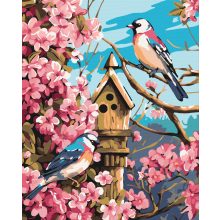 Madarak - Számfestő készlet kereten 40x50