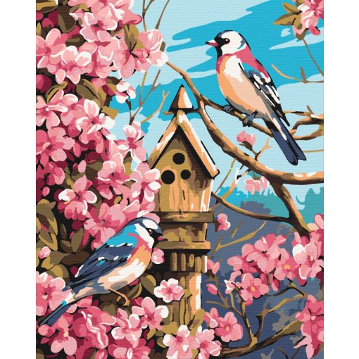 Madarak - Számfestő készlet kereten 40x50