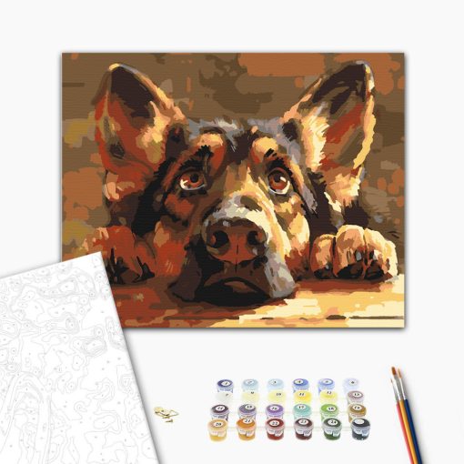 Én is kérek! - Számfestő készlet kereten 40x50