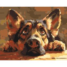 Én is kérek! - Számfestő készlet kereten 40x50