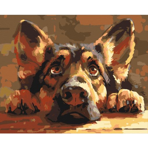 Én is kérek! - Számfestő készlet kereten 40x50