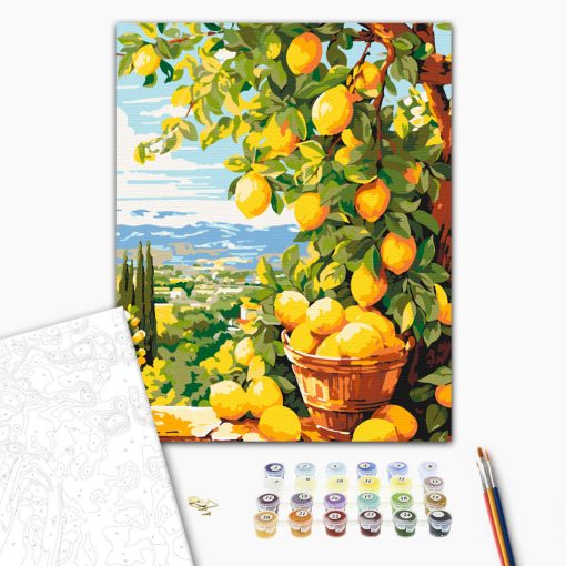 Citromfa - Számfestő készlet kereten 40x50