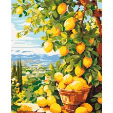 Citromfa - Számfestő készlet kereten 40x50