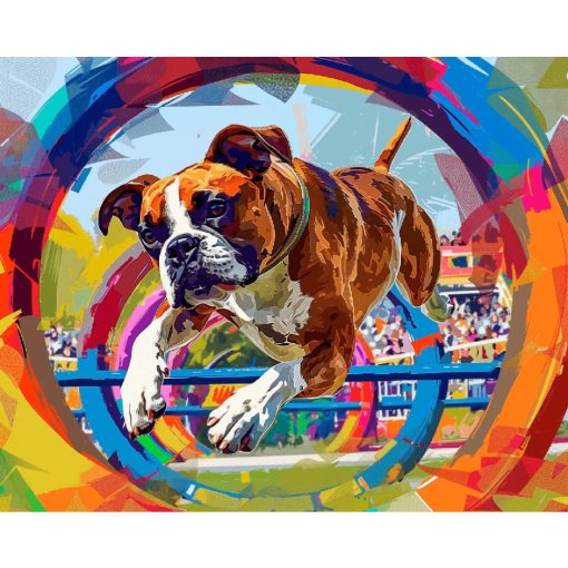 Boxer - Számfestő készlet kereten 40x50