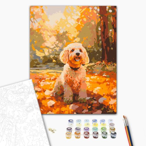 Kutyaséta - Számfestő készlet kereten 40x50