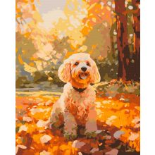 Kutyaséta - Számfestő készlet kereten 40x50