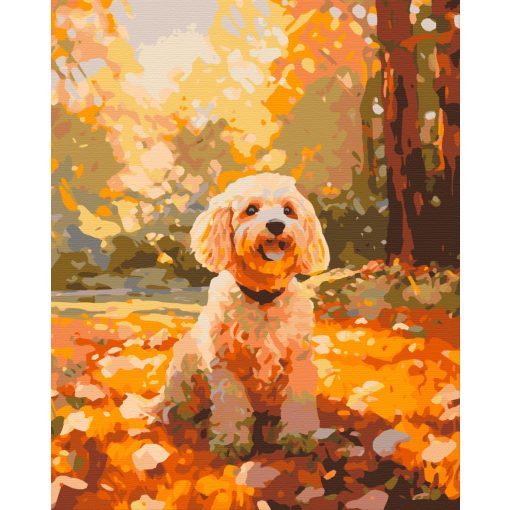 Kutyaséta - Számfestő készlet kereten 40x50