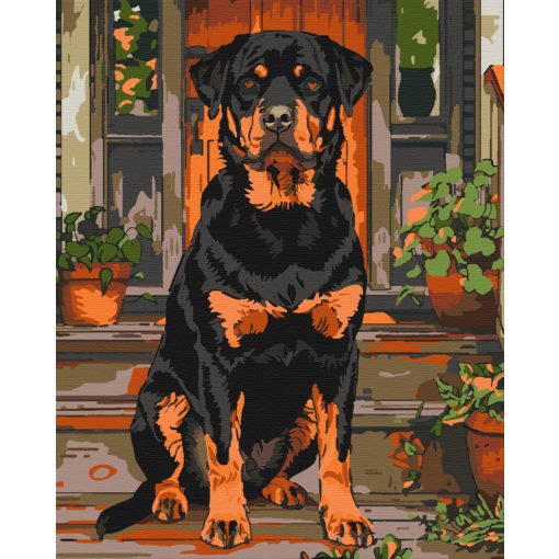 Házőrző - Számfestő készlet kereten 40x50