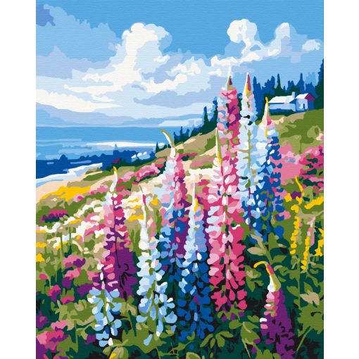 Vadvirágok a domboldalon - Számfestő készlet kereten 40x50