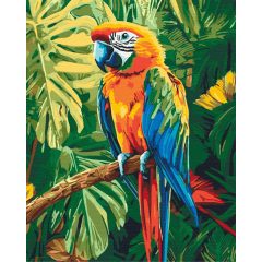   Fliegende Farben - Malen-nach-Zahlen-Set auf Keilrahmen 40x50