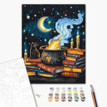 Magie in der Nacht - Malen-nach-Zahlen-Set auf Keilrahmen 40x50