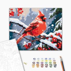   Vörös kardinálispinty - Számfestő készlet kereten 40x50
