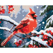 Vörös kardinálispinty - Számfestő készlet kereten 40x50