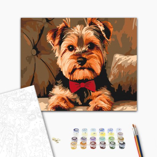 Yorkie csokornyakkendővel - Számfestő készlet kereten 40x50