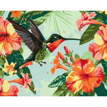 Kolibri a virágok között - Számfestő készlet kereten 40x50