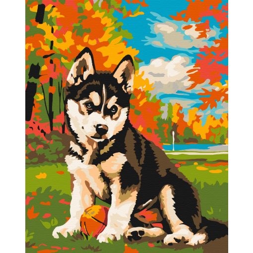 Kölyök husky - Számfestő készlet kereten 40x50