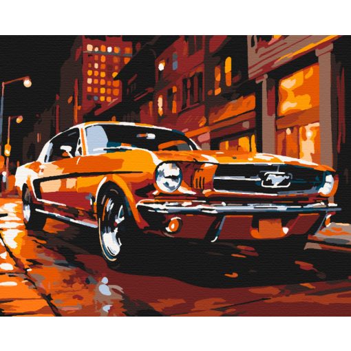 Klasszikus ragyogás - Számfestő készlet kereten 40x50