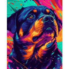 Pop art őrző - Számfestő készlet kereten 40x50