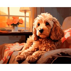 Cockapoo a kanapén - Számfestő készlet kereten 40x50