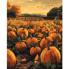 Tökföld - Számfestő készlet kereten 40x50