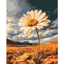 Einsame Margerite - Malen-nach-Zahlen-Set auf Keilrahmen 40x50