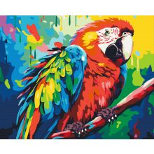 Színes papagáj - Számfestő készlet kereten 40x50