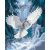 Schnee-Eule bei Nachtflug - Malen-nach-Zahlen-Set auf Keilrahmen 40x50