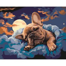 Bulldog álmok - Számfestő készlet kereten 40x50