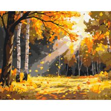 Goldener Herbstwald - Malen-nach-Zahlen-Set auf Keilrahmen 40x50