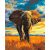   Der Riese der Savanne - Malen-nach-Zahlen-Set auf Keilrahmen 40x50