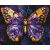   Wunderschöner Schmetterling - Malen-nach-Zahlen-Set auf Keilrahmen 40x50